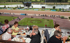 widget-restaurant