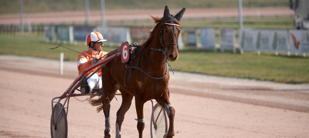 hippodrome-laval-entrainement