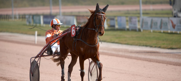 hippodrome-laval-entrainement