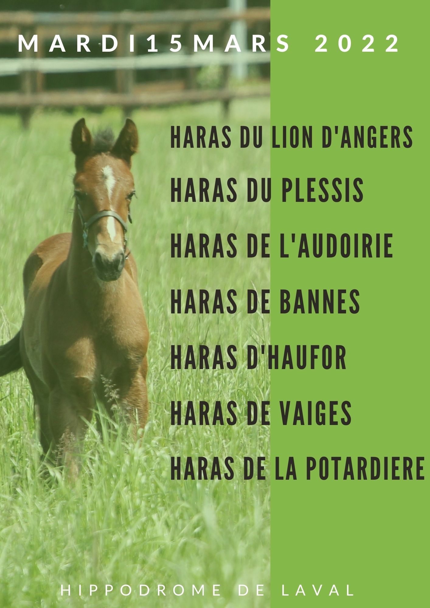 haras