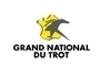 logo gnt