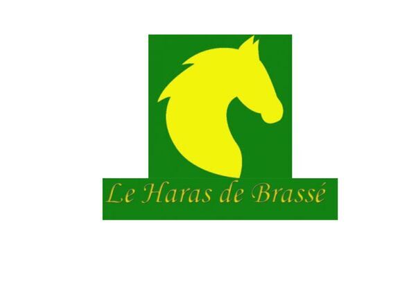 logo haras brasse