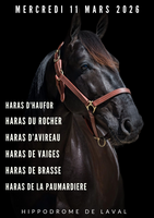 Prix des haras 2026